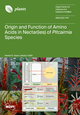 Volume 13, Issue 1