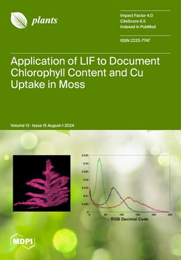 Volume 13, Issue 15