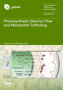 Volume 13, Issue 21