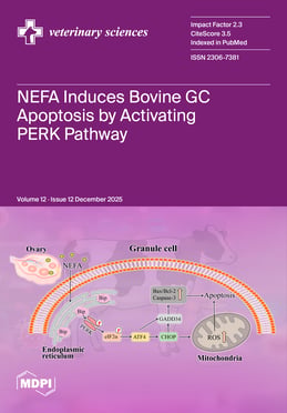 Volume 12, Issue 12