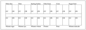 Layout of continuous cropping (CC) and crop rotation (CR) plots in the field experiment in Bałcyny in 2016 and 2022.