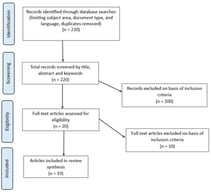 Prisma flow diagram showing the process of literature identification, screening, and inclusion in the review.
