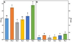 Fresh (FW; (A)) and dry weight (DW; (B)) of control (Ctrl_K, Ctrl_Z), dehydrated (De_K, De_Z), and rehydrated (Re_K, Re_Z) plants of two wheat cultivars—Katya (K) and Zora (Z). Statistical analysis was performed with multifactorial ANOVA followed by Tukey’s post hoc test. Results are presented as mean ± SE (n = 6). Lowercase letters above columns indicate statistical differences between mean values based on the Tukey test with p < 0.05.