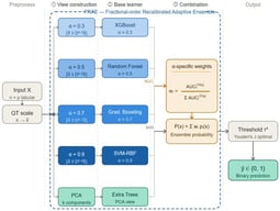 FRAE architecture (dashed border). Blue gradient encodes GL memory order: light (α = 0.3, long memory) → dark (α = 0.9, near-integer derivative). Learner box colors match the corresponding GL view. AUCi feeds α-specific weight computation; pi(x) feeds ensemble probability aggregation. Binary prediction ŷ is obtained via Youden’s J-optimal threshold τ*. Preprocessing (QT scale) is applied prior to the three core FRAE stages.
