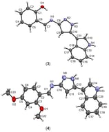 ORTEP diagram of pyrazole-imines 3 and 4. Thermal ellipsoids set at 50% probability level.