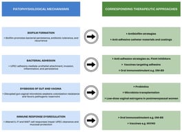 Pathophysiological background of recurrent UTIs with corresponding therapeutic approaches. Abbreviations: UPEC—Uropathogenic Escherichia coli; IL—interleukin; MAIT—Mucosal-associated invariant T.