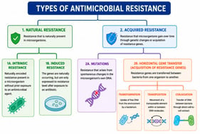 Types of antimicrobial resistance. [ChatGPT (OpenAI, GPT-5.6 Luna); prompt used: “Create a color diagram of the types of antimicrobial resistance.”].