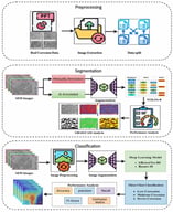 Architecture of the framework.