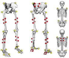 Markerset utilized for data collection. Red markers represent cluster plates, while yellow markers represent the anatomical tracking markers, which were removed prior to data collection.