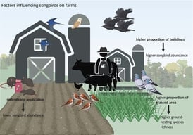 Article thumbnail image