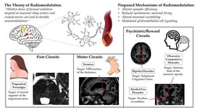 The “Cockade” theory of SRS-induced neuromodulation on normal brain. Following SRS treatment, four concentric “zones” are observed, including (1) a central histologic “necrotic” zone; (2) a “subnecrotic” zone where cell death is observed with a dying off of glial cells and preservation of non-cycling neurons; (3) a “neuromodulatory” area where the radiomodulatory effects of SRS is demonstrated; and (4) a peripheral “no effect” area of histological and functional normal brain.