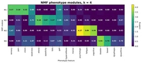 Heatmap of feature loadings for the preferred 4-module NMF solution with sensory-visual-pain, ataxia-spastic-falls, cognitive-psychologic-fatigue, and autonomic-bladder-bowel as primary phenotypes of each module. Note that weakness and gait load significantly on modules M1 and M2.