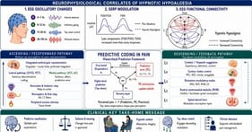 Simplified comparison of three predictive-coding and active-inference accounts of hypnotic hypoalgesia. The figure summarizes three complementary models through which hypnotic suggestions may reduce pain. The simulationadaptation theory emphasizes cognitive simulation, mental imagery, and neural adaptation to representations, consistent with suggestions [23]. The interoceptive predictive-coding account emphasizes response expectancy, high-level bodily predictions, and reinterpretation of nociceptive input [22,24]. The active-inference/agency account emphasizes altered agency, reduced voluntary monitoring, and alignment of perception with the predicted hypoalgesic state [26]. Although these accounts differ in emphasis, they converge on a shared endpoint: hypnotic suggestions may establish a suggestion-consistent bodily model that reduces the salience or precision of nociceptive input, thereby contributing to hypnotic hypoalgesia.