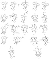 Structure of Dendrobium-type alkaloids isolated from D. nobile.