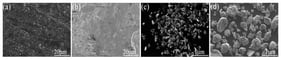 SEM images of the initial samples: (a) carbon brush, (b) collector ring, (c) carbon powder, and (d) iron powder.