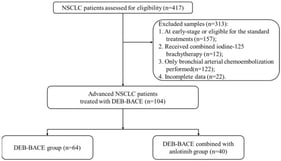 Flowchart of the patient selection. NSCLC, non-small cell lung cancer; DEB-BACE, drug-eluting beads bronchial arterial chemoembolization.