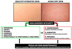 Skin barrier integrity serves as a fundamental indicator of the skin’s barrier function, structural coherence, and overall physiological health. Regular skin maintenance encompassing gentle cleansing, adequate moisturization, and skin barrier protection is essential not only for maintaining the homeostasis of healthy skin (green) but also for restoring and enhancing the function and resilience of compromised aging skin (red). Images of human skin—healthy, hydrated human skin (left), and aging dry human skin (right)—were obtained from the Shutterstock Image Library under a Standard License.