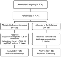 CONSORT Flow Diagram of participant enrollment, randomization, and analysis.