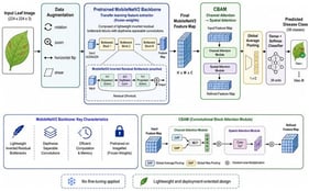 Overall late-attention MobileNetV2 architecture. A single CBAM block is applied to the final MobileNetV2 convolutional map before global average pooling and classification.