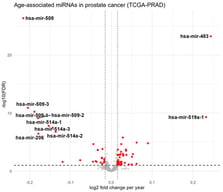 Age-associated miRNAs in prostate cancer. Expression profiles of 65 age-associated miRNAs in PCa are presented, highlighting the 10 miRNAs with the largest age-associated expression changes.