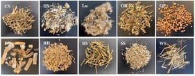 Raw plant-derived residues considered in the present study, shown in alphabetical order from left to right and top to bottom: corn stalk (CS), hemp stalk (HS), luffa (Lu), olive branches (OB), olive pit (OP), Posidonia oceanica (PO), rice husk (RH), rice straw (RS), sunflower stalk (SS), and wheat straw (WS).