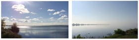 Cooling Pond of the Chornobyl Nuclear Power Plant: left, 2013; right, 2009 (photo by N. Zarubina).