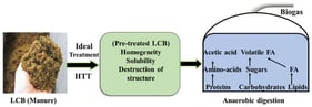 Schematic of integrated hydrothermal processing of dairy manure before AD.