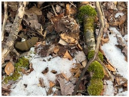 The PFM-1 mine, commonly known as the butterfly mine, is designed to mimic the descent of a maple seed. Inert PFM-1 mines are used to train demining personnel and are carved with a Cyrillic “Y” in the wing. The general dimensions of a PFM-1 mine are as follows: 4.7 in width, 2.4 in height.