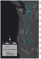 Study-area domain (white boundary). Lake polygons (light blue) are those that remained after filtering.
