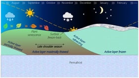 Conceptual scheme of the seasonal transition between summer and winter with the late shoulder season marking the transition between plant senescence and surface freeze-back, and the active layer refreezing period. Note that the figure is not to scale and misses many characteristics such as the seasonality of methane fluxes.