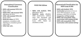 Different criteria adopted by the International Consensus Classification, WHO 5th Edition, and harmonized classification for the classification of mTP53-mutated myeloid neoplasms.
