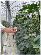 Dataset acquisition setting in a real cultivation scenario.