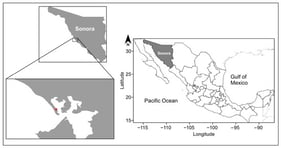 Location of the experimental cultivation area in Estero La Cruz, Sonora, Mexico. The red dot indicates the oyster cultivation site.
