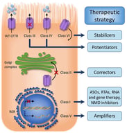 Specific therapeutic strategies to be employed depending on the CFTR functional defect. Class I variants could be targeted by readthrough agents (RTAs), antisense oligonucleotides (ASOs) and/or nonsense-mediated decay (NMD) inhibitor molecules, as well as by RNA and gene therapy. Class II variants are restored by corrector drugs, and class III and class IV by potentiators ones. Class V pathogenic variants could be targeted by amplifiers and class VI by stabilizers. The dashed arrows refer to a reduction, while the cross symbol on solid arrows denotes an interruption or a blockage. RER = rough endoplasmatic reticulum; WT = wild type.