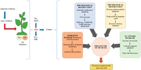 Schematic representation of salinity stress-caused major impacts in plants.