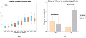 Congenital heart disease (CHD) vs. control (CTL) placental volume by four-week gestational age intervals (A) and in the final eight weeks of gestation (B).