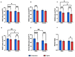 Six-panel plot of RV and RA structural dimensions in male and female sprint and endurance cyclists. (A) RVD1 index; (B) RVD3 index; (C) RVEDA index; (D) RVOT1 index; (E) RA end systolic volume; (F) RV/LV ratio. Bars represent mean ± SD. * = p < 0.05, ** = p < 0.01, *** = p < 0.001, **** = p < 0.0001.
