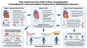 Evolution of physiological determinants of functional capacity across the heart failure–LVAD–heart transplantation continuum. (Created with FigureLabs by T. Urbanowicz (ID: FL-PUB-20260611-I5KKDE). https://www.figurelabs.ai/ (accessed on 10 June 2026)).