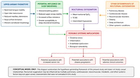 Conceptual framework illustrating the potential relationships between upper-airway phenotype and nocturnal oxygenation in adults with cancer. This diagram summarizes the conceptual rationale underlying the present study and is intended solely as a hypothesis-generating model. Upper-airway anatomical and functional characteristics may contribute to altered breathing patterns and nocturnal oxygenation. However, nocturnal oxygenation is also influenced by multiple pulmonary, cardiovascular, neuromuscular, metabolic, and other systemic factors that were not evaluated in the present study. Accordingly, this figure should not be interpreted as implying causal relationships.