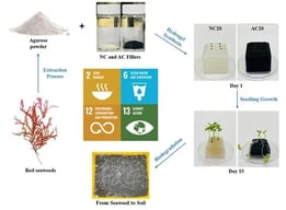 Schematic illustration of the fabrication and evaluation process of agarose-based composite hydrogels reinforced with activated carbon (AC) and sodium bentonite nanoclay (NC). Agarose is thermally dissolved in water, followed by the incorporation of AC particles or NC platelets. The mixtures are cast into molds and undergo gelation to form composite hydrogel networks. Proposed interactions within the networks include hydrogen bonding between agarose chains and oxygen-containing groups on AC, as well as ion–dipole and hydrogen bonding interactions between agarose hydroxyl groups and silicate layers in nanoclay. The resulting hydrogels are evaluated for plant growth performance using Brassica rapa seedlings.