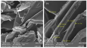Micrographs obtained by SEM/FEG of GO at (a) 20,000× magnification and (b) 50,000× magnification.