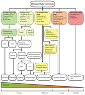 Updated Barcelona Clinic Liver Cancer (BCLC) staging and treatment strategy, showing the specific suggested optimal therapeutic path, according to the characteristics of the patients, which are assigned to 5 main stages: Very Early, Early, Intermediate, Advanced, and Terminal [19].