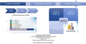 Five-step summary process of the study.