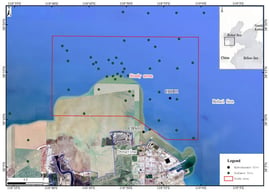 Geographic extent of the study area within the abandoned subaqueous Yellow River Delta, southwestern Bohai Sea. The red rectangular outline denotes the study domain boundary, green circular markers represent 76 surficial sediment sampling stations, and black circular markers indicate two long-term hydrodynamic observation stations (CBS01 = shallow-water station; CBD01 = deeper-water station). The inset map shows the regional position of the Bohai Sea relative to China and the Yellow Sea.
