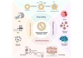 Principal endocytic routes determining nanoparticle intracellular fate. Clathrin-mediated endocytosis (CME) and caveolin-mediated endocytosis (CVME) represent the primary processes of receptor-mediated endocytosis (RME). Conversely, additional RME mechanisms, such as flotillin, ARF6, RhoA, or CDC42-mediated endocytosis, also exist within the cell. Adapted with permissions from [66] 2020 Manzanares et al.