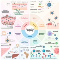 Graphical summary of the three main modes of nanoparticle targeting: passive, active, and intrinsic. Passive targeting primarily relies on the EPR effect in diseased cancerous tissues. Active targeting relies on ligands displayed on the nanoparticle surface. These ligands can be proteins, peptides, nucleic acids, polysaccharides, and small molecules. Antibodies can also be conjugated to NPs for active targeting. Intrinsic targeting can be achieved through several mechanisms, including (i) biomimetic interface-driven selectivity, (ii) inherent material-tissue affinity, (iii) physicochemical transport biases (size, shape, and charge), and (iv) mechanical properties (e.g., nanoparticle stiffness). Created in BioRender. Brownsberger, A. (2026). https://BioRender.com/8owkosy (accessed on 4 March 2026).