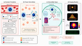 Tumor Microenvironment-Responsive Activation of a Theranostic Nanoparticle. Sequential steps: (a) systemic circulation and EPR-mediated tumor accumulation, (b) extracellular ROS-triggered shell disassembly via oxidation of an arylboronic ester linker to a phenol, (c) intracellular GSH-triggered drug release via reductive cleavage of a disulfide linker, (d) simultaneous imaging signal generation. Representative chemical structures of the ROS- and GSH-responsive linkers are shown in the inset. Created in BioRender. Begüm Kurt (2026). Available at https://BioRender.com (accessed on 17 July 2026).