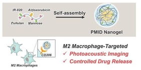 Characterization of PMID nanogel. Absorption spectra of IR-820, PID nanogel and PMID nanogel in (A) HEPES buffer, (B) 1% TritonX-100 or DMSO. (C) PA imaging of HEPES buffer, IR-820 and PMID nanogel (IR-820 conc. = 10 µg/mL, λEx = 850 nm). (D) Time-dependent DOX release from PMID nanogel in different pH buffer conditions. Data are presented as mean values from pooled and concentrated dialysates (n = 3 independent trials per time point) to ensure analytical sensitivity.