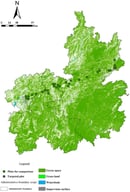 The study area and sampling plots were distributed along an east–west gradient from the eastern tailings to western Guiyang city.