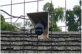 Image of one of the cameras installed at Aalborg Zoo (Aalborg, Denmark). A protective casing was constructed to minimize rain exposure on the lens, ensuring high image quality and recording resolution.